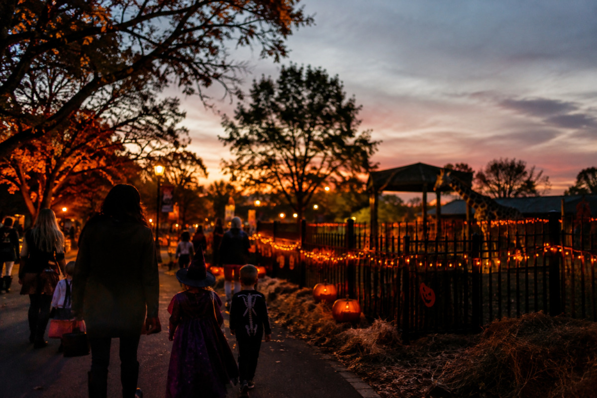 À Hattiesburg, une parade et des soirées au zoo À Hattiesburg, une parade et des soirées au zoo